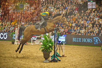 Dansk varmblod hingstekåring.
galashow-kustumespringnin
Nøgleord: thomas phil jensen;medina