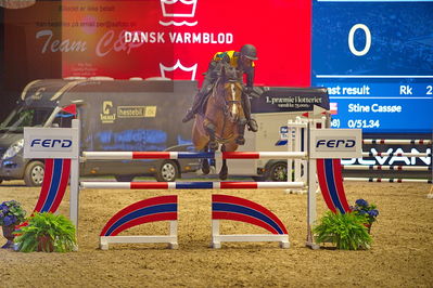 Dansk varmblod hingstekåring.
galashow-kustumespringnin
Nøgleord: thomas phil jensen;medina