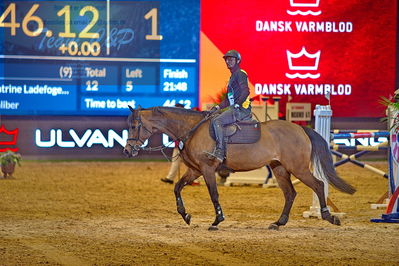 Dansk varmblod hingstekåring.
galashow-kustumespringnin
Nøgleord: thomas phil jensen;medina