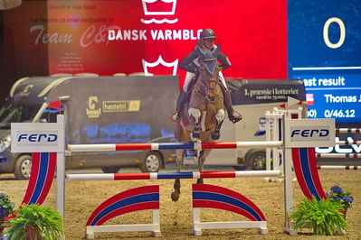 Dansk varmblod hingstekåring.
galashow-kustumespringnin
Nøgleord: karina leiche;didola ts