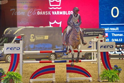 Dansk varmblod hingstekåring.
galashow-kustumespringnin
Nøgleord: karina leiche;didola ts