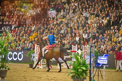 Dansk varmblod hingstekåring.
galashow-kustumespringnin
Nøgleord: katrine ladefoged rasmussen;caliber