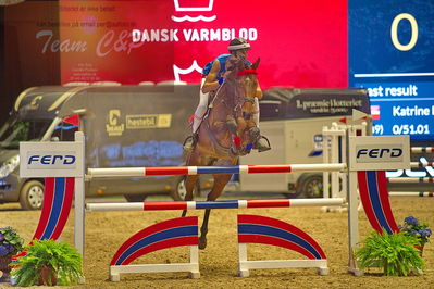 Dansk varmblod hingstekåring.
galashow-kustumespringnin
Nøgleord: adam sparlund olesen;destany