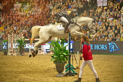 Dansk varmblod hingstekåring.
galashow-kustumespringnin
Nøgleord: tina lund;centina 10