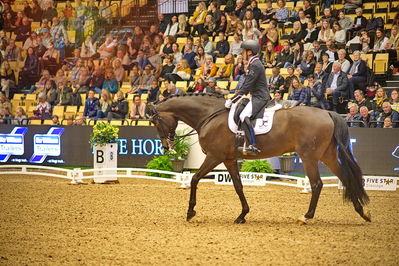 Dansk varmblod hingstekåring.
grandprix special 5
Nøgleord: shingo hayashi;scolari 4