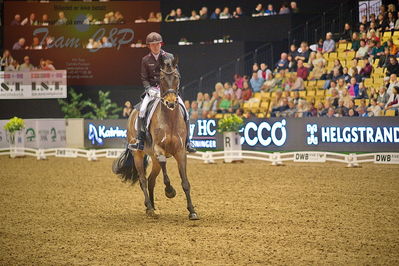 Dansk varmblod hingstekåring.
grandprix special 5
Nøgleord: shingo hayashi;scolari 4