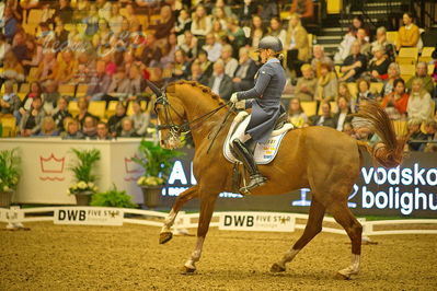 Dansk varmblod hingstekåring.
grandprix special 5
Nøgleord: michelle hagman hassink;chagall h
