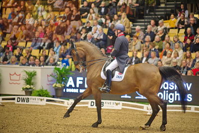 Dansk varmblod hingstekåring.
grandprix special 5
Nøgleord: richard davison;bububblingh