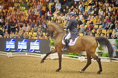 Dansk varmblod hingstekåring.
grandprix special 5
Nøgleord: richard davison;bububblingh