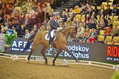 Dansk varmblod hingstekåring.
grandprix special 5
Nøgleord: richard davison;bububblingh