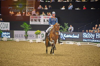 Dansk varmblod hingstekåring.
grandprix special 5
Nøgleord: diederik von silfhout;expression n o p