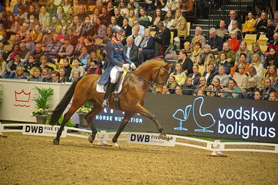 Dansk varmblod hingstekåring.
grandprix special 5
Nøgleord: diederik von silfhout;expression n o p