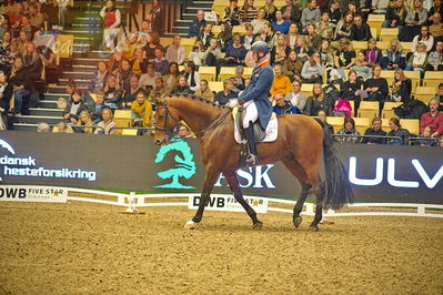 Dansk varmblod hingstekåring.
grandprix special 5
Nøgleord: diederik von silfhout;expression n o p
