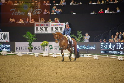 Dansk varmblod hingstekåring.
grandprix special 5
Nøgleord: diederik von silfhout;expression n o p