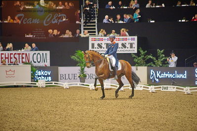 Dansk varmblod hingstekåring.
grandprix special 5
Nøgleord: diederik von silfhout;expression n o p