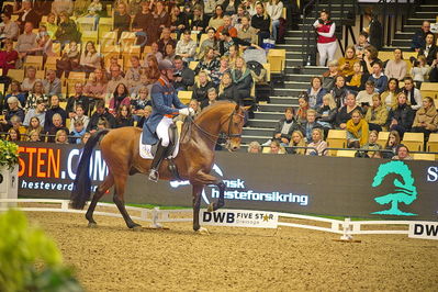 Dansk varmblod hingstekåring.
grandprix special 5
Nøgleord: diederik von silfhout;expression n o p