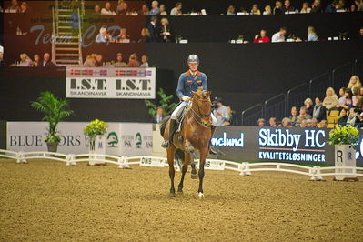 Dansk varmblod hingstekåring.
grandprix special 5
Nøgleord: diederik von silfhout;expression n o p