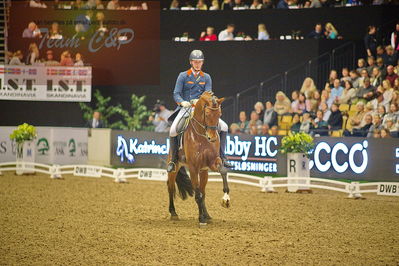 Dansk varmblod hingstekåring.
grandprix special 5
Nøgleord: diederik von silfhout;expression n o p