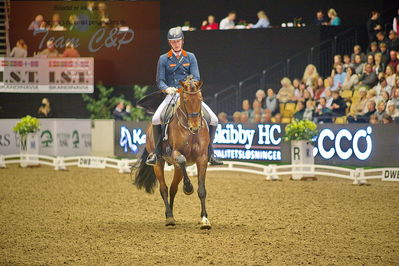 Dansk varmblod hingstekåring.
grandprix special 5
Nøgleord: diederik von silfhout;expression n o p
