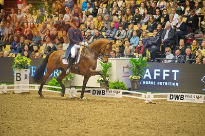 Dansk varmblod hingstekåring.
grandprix special 5
Nøgleord: diederik von silfhout;expression n o p