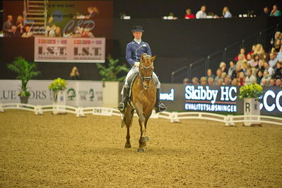 Dansk varmblod hingstekåring.
grandprix special 5
Nøgleord: nars gottmer;dicaprio swing