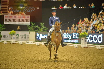 Dansk varmblod hingstekåring.
grandprix special 5
Nøgleord: nars gottmer;dicaprio swing