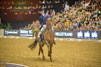 Dansk varmblod hingstekåring.
grandprix special 5
Nøgleord: nars gottmer;dicaprio swing