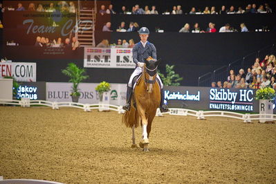 Dansk varmblod hingstekåring.
grandprix special 5
Nøgleord: daniel bachmann andersen;blue hors zepter