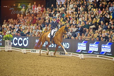 Dansk varmblod hingstekåring.
grandprix special 5
Nøgleord: daniel bachmann andersen;blue hors zepter