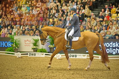 Dansk varmblod hingstekåring.
grandprix special 5
Nøgleord: daniel bachmann andersen;blue hors zepter