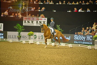 Dansk varmblod hingstekåring.
grandprix special 5
Nøgleord: daniel bachmann andersen;blue hors zepter