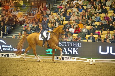 Dansk varmblod hingstekåring.
grandprix special 5
Nøgleord: daniel bachmann andersen;blue hors zepter