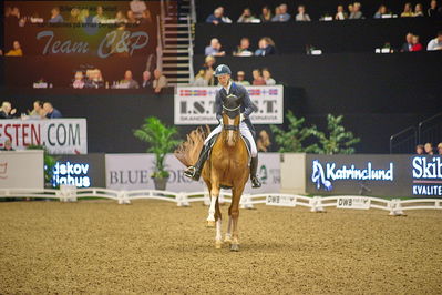 Dansk varmblod hingstekåring.
grandprix special 5
Nøgleord: daniel bachmann andersen;blue hors zepter