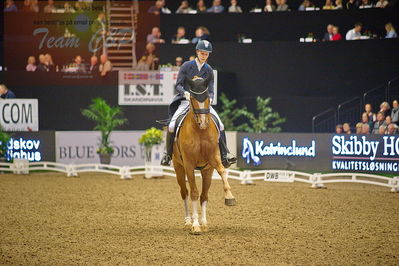 Dansk varmblod hingstekåring.
grandprix special 5
Nøgleord: daniel bachmann andersen;blue hors zepter