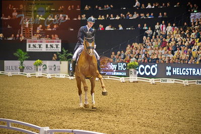 Dansk varmblod hingstekåring.
grandprix special 5
Nøgleord: daniel bachmann andersen;blue hors zepter