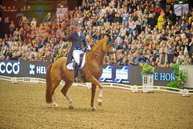 Dansk varmblod hingstekåring.
grandprix special 5
Nøgleord: daniel bachmann andersen;blue hors zepter