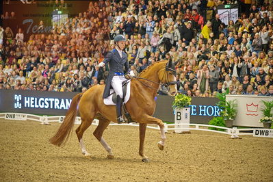 Dansk varmblod hingstekåring.
grandprix special 5
Nøgleord: daniel bachmann andersen;blue hors zepter