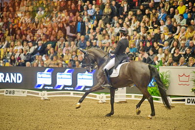 Dansk varmblod hingstekåring.
grandprix special 5
Nøgleord: carina cassøe krüth;heiline's danciera