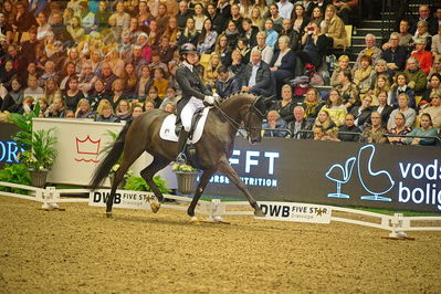 Dansk varmblod hingstekåring.
grandprix special 5
Nøgleord: carina cassøe krüth;heiline's danciera