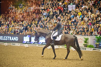Dansk varmblod hingstekåring.
grandprix special 5
Nøgleord: carina cassøe krüth;heiline's danciera