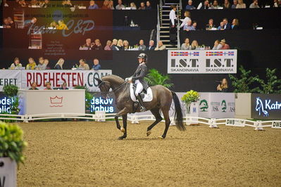 Dansk varmblod hingstekåring.
grandprix special 5
Nøgleord: carina cassøe krüth;heiline's danciera