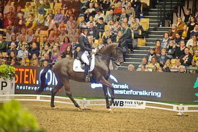 Dansk varmblod hingstekåring.
grandprix special 5
Nøgleord: carina cassøe krüth;heiline's danciera