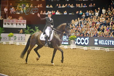 Dansk varmblod hingstekåring.
grandprix special 5
Nøgleord: carina cassøe krüth;heiline's danciera
