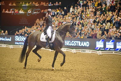 Dansk varmblod hingstekåring.
grandprix special 5
Nøgleord: carina cassøe krüth;heiline's danciera