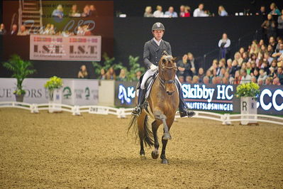 Dansk varmblod hingstekåring.
grandprix special 5
Nøgleord: severo jurado lopez;fiontina