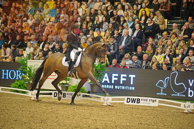 Dansk varmblod hingstekåring.
grandprix special 5
Nøgleord: severo jurado lopez;fiontina