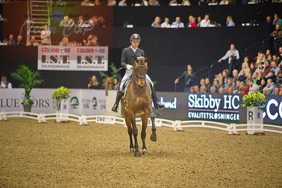 Dansk varmblod hingstekåring.
grandprix special 5
Nøgleord: severo jurado lopez;fiontina
