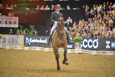 Dansk varmblod hingstekåring.
grandprix special 5
Nøgleord: severo jurado lopez;fiontina