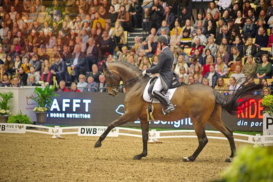 Dansk varmblod hingstekåring.
grandprix special 5
Nøgleord: severo jurado lopez;fiontina