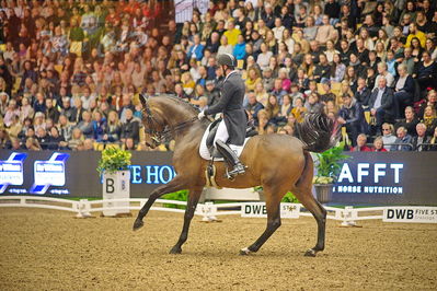 Dansk varmblod hingstekåring.
grandprix special 5
Nøgleord: severo jurado lopez;fiontina